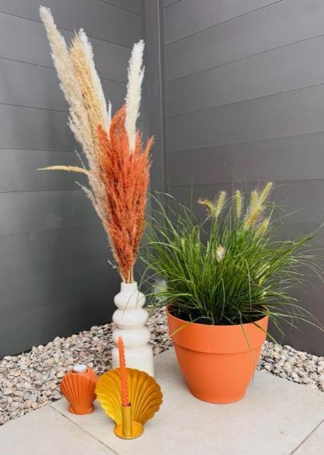 Charley'S Wellness Suite Westkapelle Exterior foto